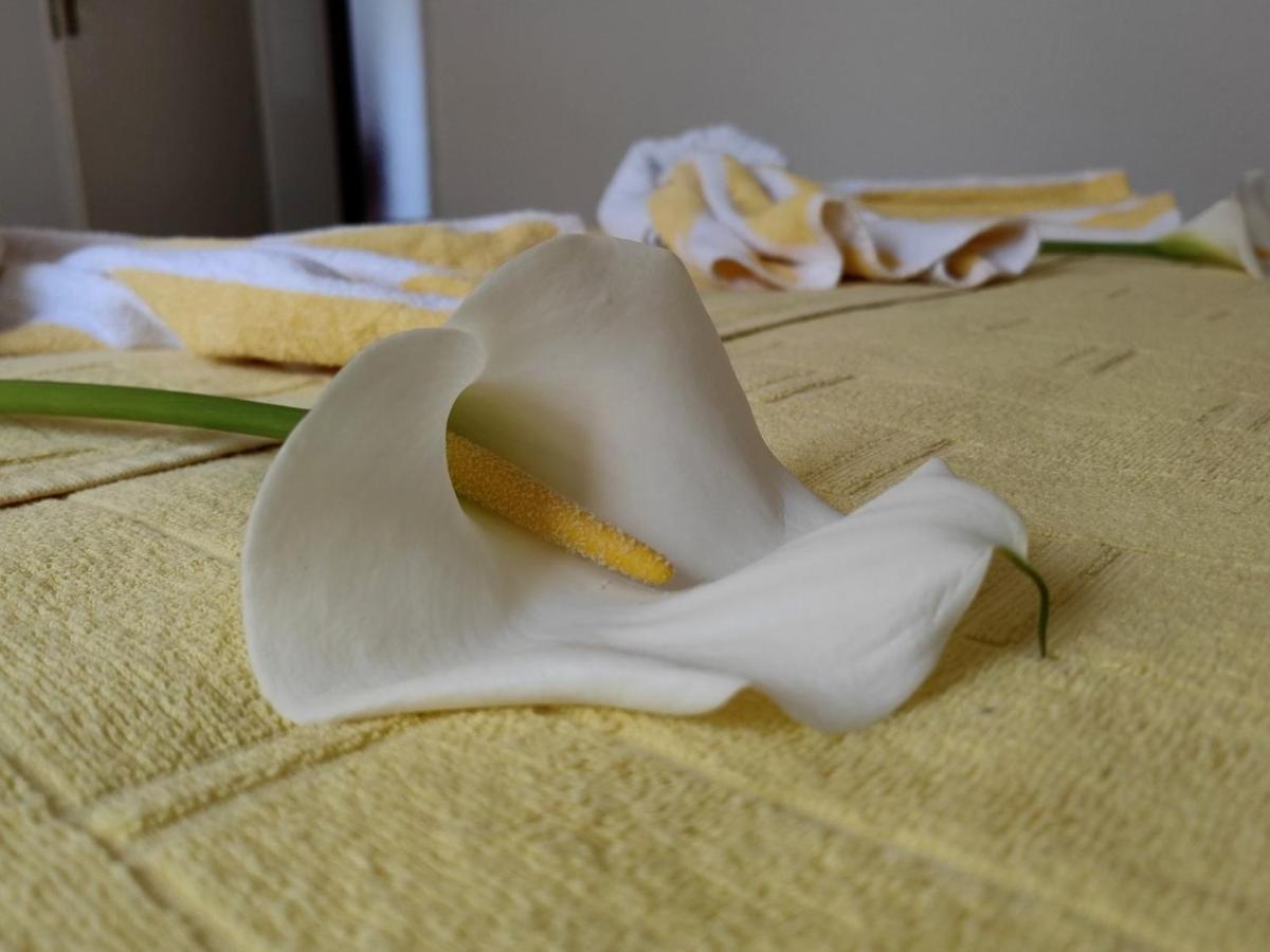 Apartman Lola Višegrad Dış mekan fotoğraf